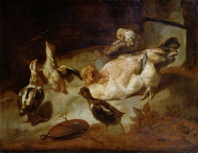Poultry by Unbekannt Unbekannt